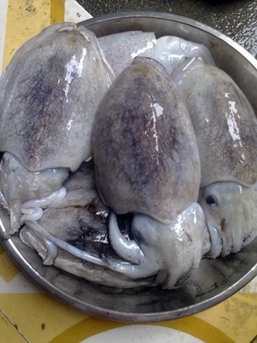 Mẹo "thần thánh" xào mực giòn sần sật, thơm ngọt, không chảy nước - 1