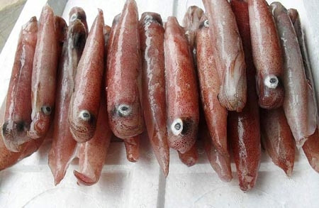 Mực trứng tươi ngon