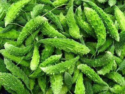Mướp đắng xanh mướt giàu dinh dưỡng nếu được chế biến đúng cách