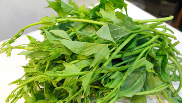 Mực Xào Cần Tây – Món Ngon Đậm Đà Cho Bữa Tối Ấm Áp