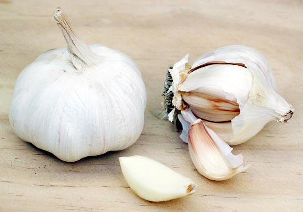 Tỏi tươi được bảo quản ngoài tủ lạnh