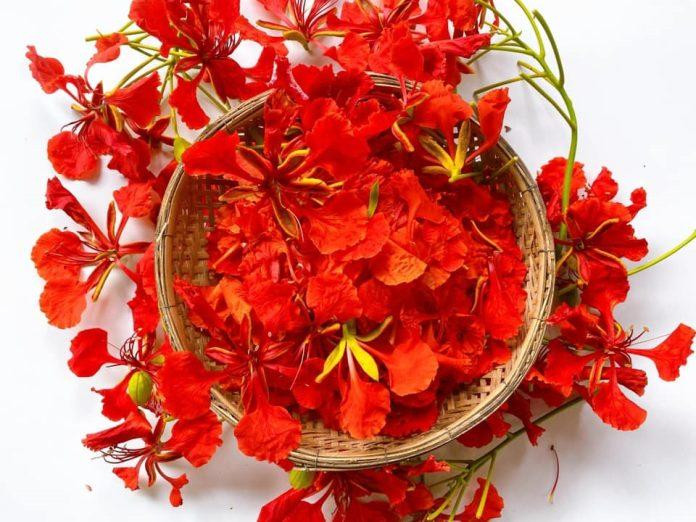 Tổng hợp 8 công thức gỏi cuốn rau củ giúp giảm cân hiệu quả, tươi mát và ít calo