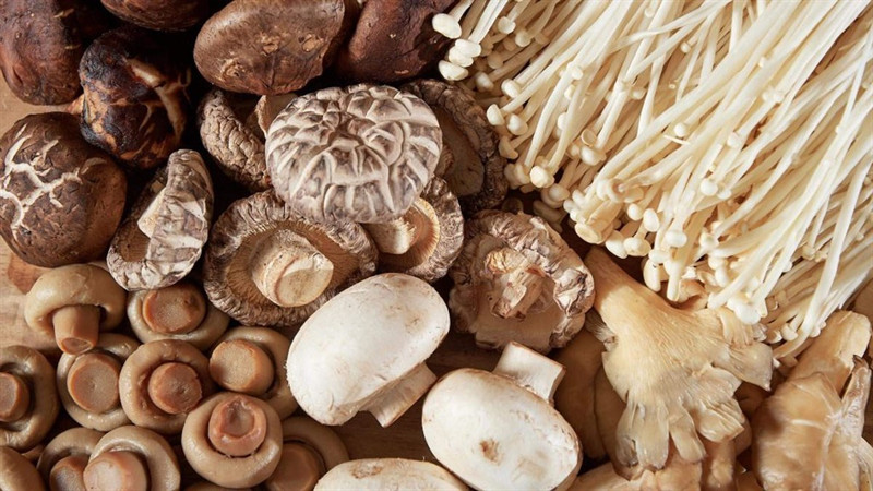 Nấm rơm tươi với phần mũ xám nhỏ nhắn, thân trắng mềm