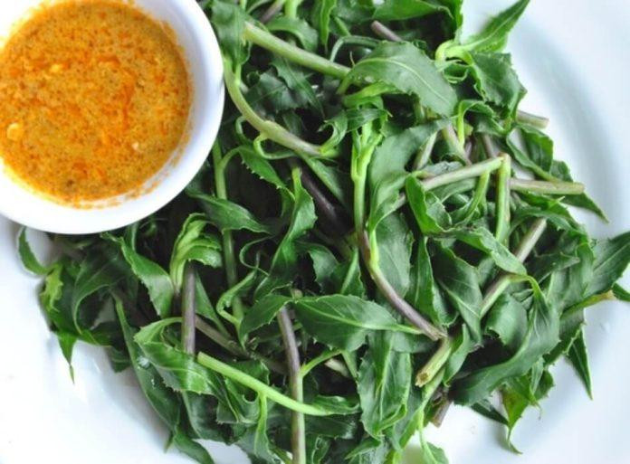 Rau rừng
