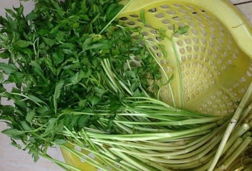 Sơ chế thịt bò