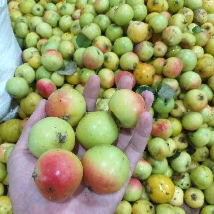 Top 15 Đặc Sản Quảng Trị Không Thể Bỏ Qua Khi Làm Quà
