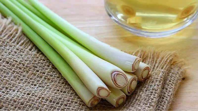 Các nguyên tắc vàng khi dùng sả trong thai kỳ