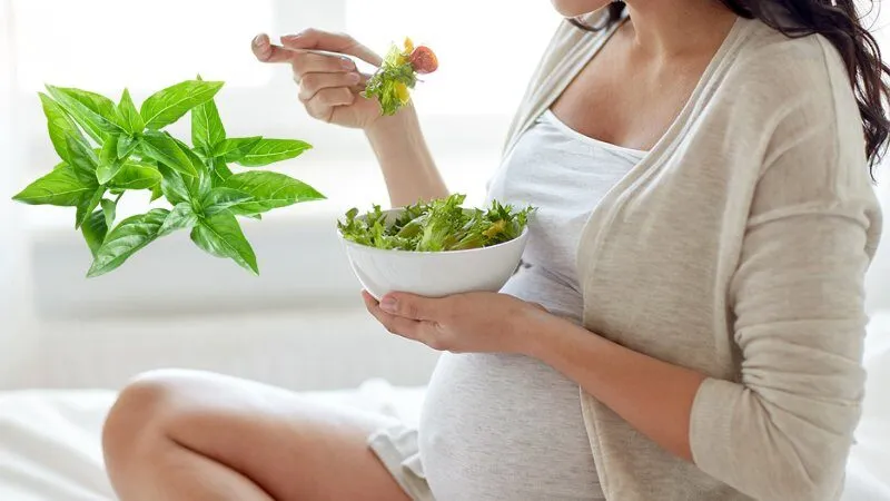 Bầu ăn lẩu gà lá é được không? 4 lưu ý quan trọng để đảm bảo an toàn