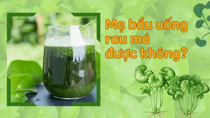 Bà bầu uống rau má được không?