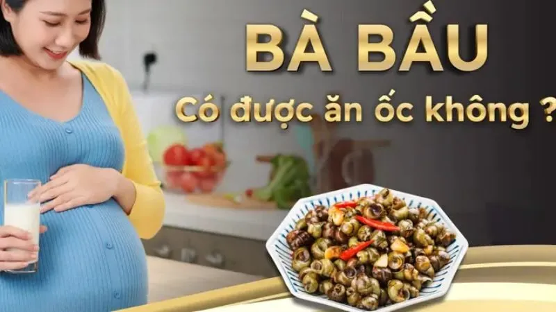 Bầu 3 tháng đầu ăn ốc được không?