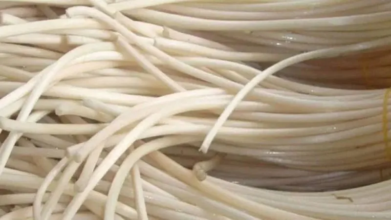 Bầu ăn ngó sen được không?