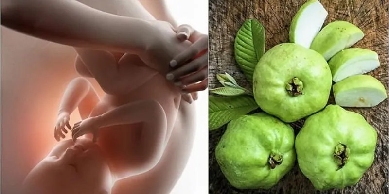 Bầu Ăn Ổi Được Không? Lợi Ích Cho Sức Khỏe Thai Kỳ