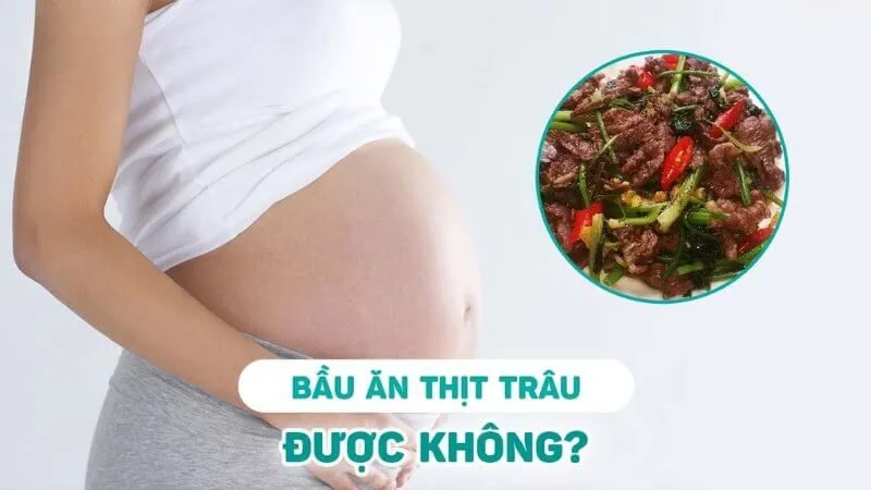 Bầu Có Ăn Được Thịt Trâu Không - Giải Đáp Chi Tiết