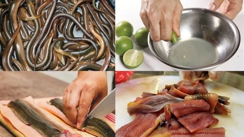 Bí quyết cách làm món lươn ngon nhất không bị tanh