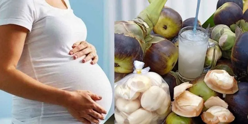 Các dưỡng chất có trong thốt nốt