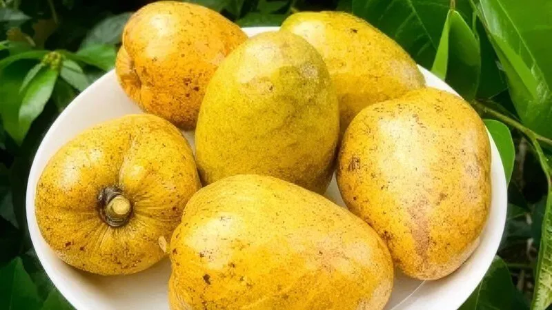 Các lưu ý dành cho mẹ bầu khi ăn bình bát