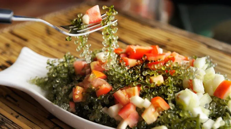 Cách chế biến rong nho cho bà bầu