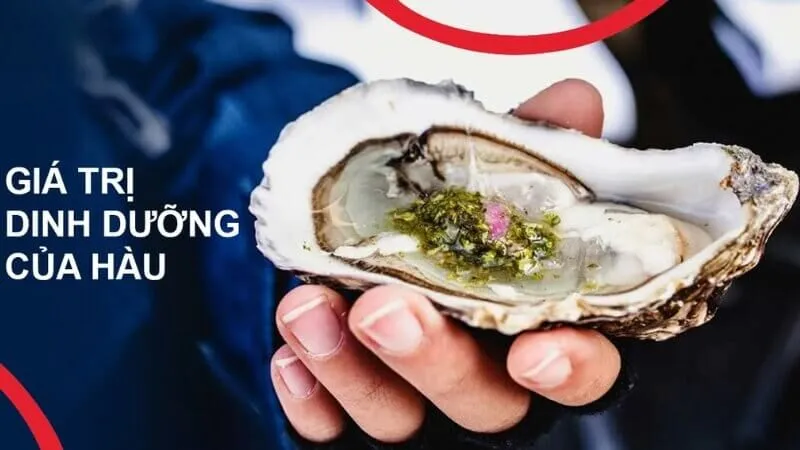 Giá trị dinh dưỡng của hàu đối với thai kỳ