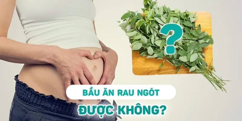 Một số tác hại của rau ngót đối với phụ nữ mang thai