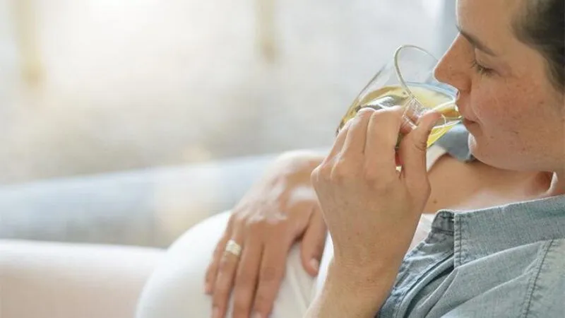 Bầu Uống Kombucha Được Không?