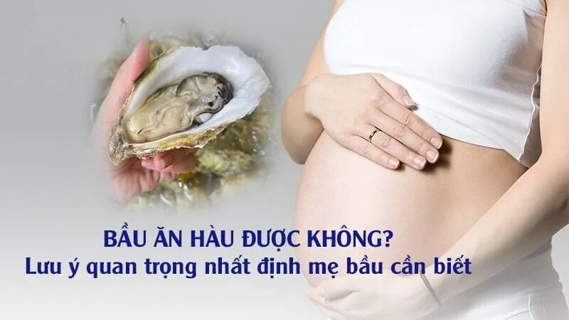 Bầu Ăn Hàu Được Không? Lưu Ý Vàng Cho Mẹ Bầu