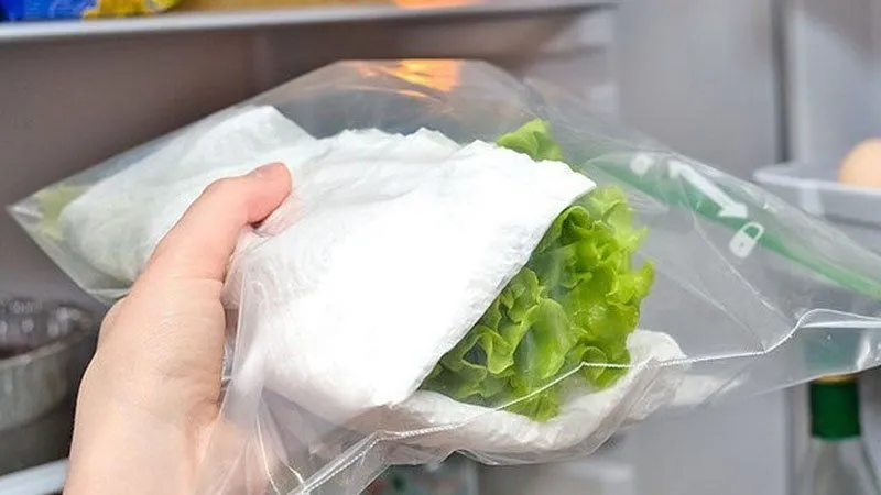 Những mẹo hay giúp salad giòn lâu và không bị tách nước