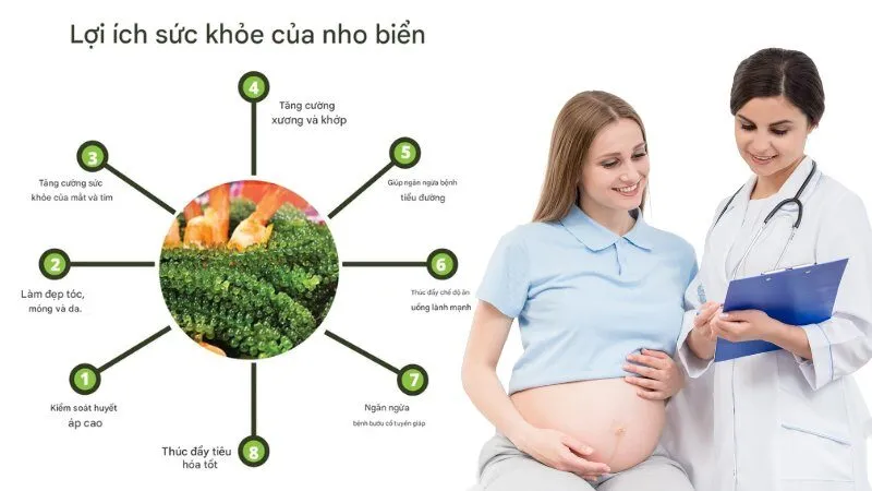 Mẹ bầu ăn rong nho được không? 5 lợi ích cho thai kỳ