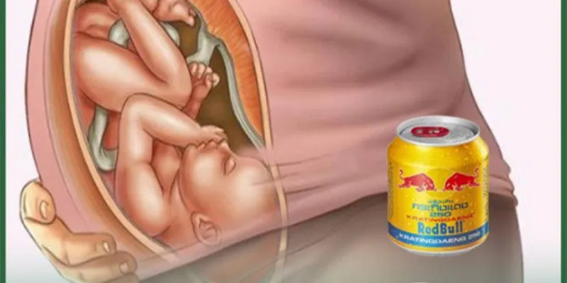 Thành phần chủ yếu trong Bò Húc và những ảnh hưởng đến thai kỳ