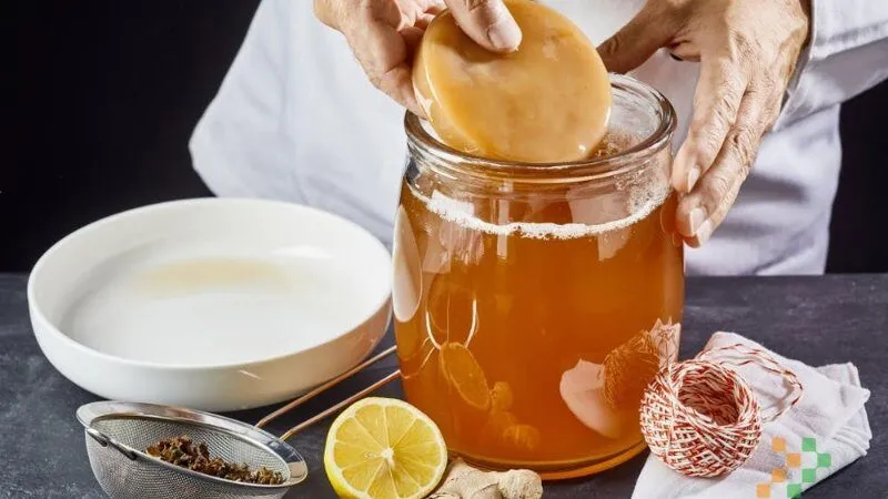Trà kombucha là gì? Vì sao ngày càng được ưa chuộng?