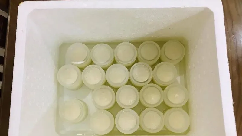 Ủ sữa chua bằng thùng giữ nhiệt và thùng xốp